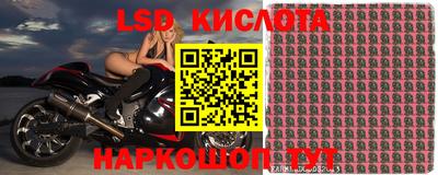 стафф Кулебаки